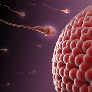 Γιατί μια ανάλυση σπέρματος είναι σημαντική; 