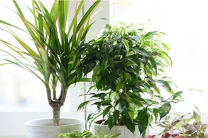 Άφησες το ψυγείο ανοιχτό, δεν καθάρισες το air condition; Τι πρόβλημα υγείας σου δημιουργούν τα "λάθη" που κάνουμε όλοι στο σπίτι; - εικόνα 1