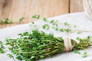 Βιταμίνες για υγιές δέρμα, δυνατά μαλλιά, γερά νύχια - εικόνα 1