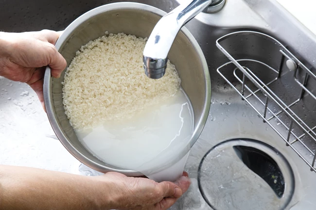 rice