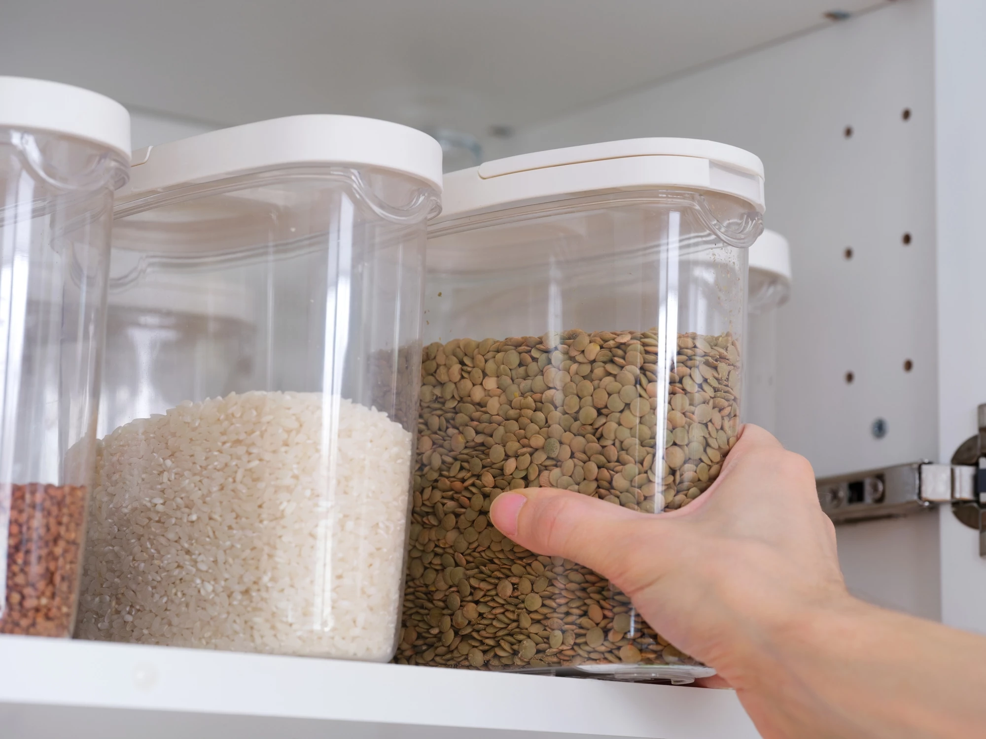 Σκόροι τροφίμων: 3 tips για να προστατεύσεις τα ντουλάπια της κουζίνας σου