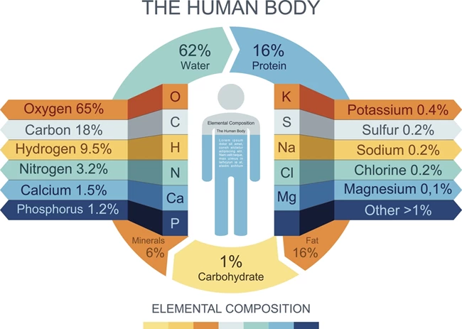 body minerals and trace elements diagram
