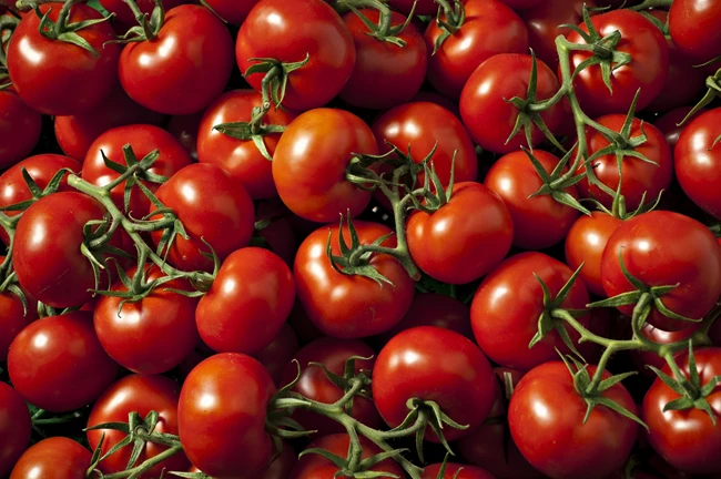 tomato