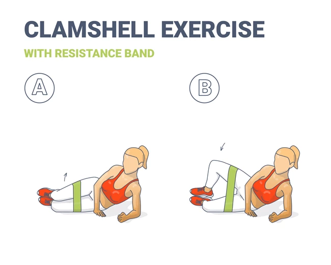 clamshell με λάστιχα αντίστασης