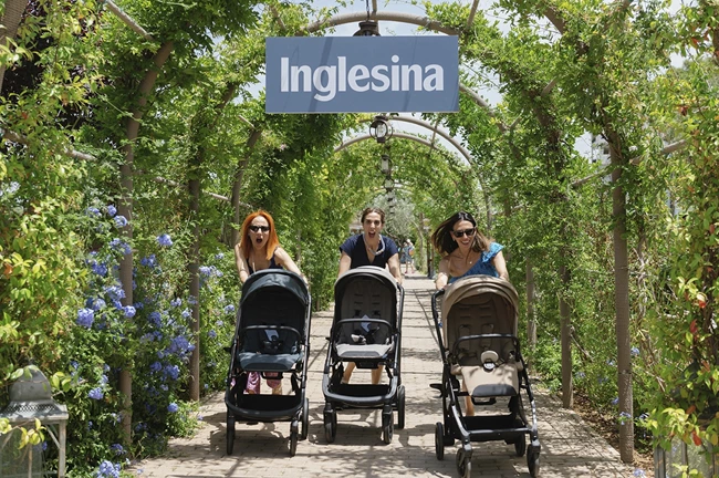 inglesina