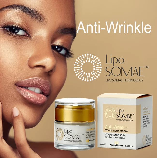 αντιρυτιδική