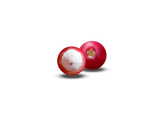 kokum
