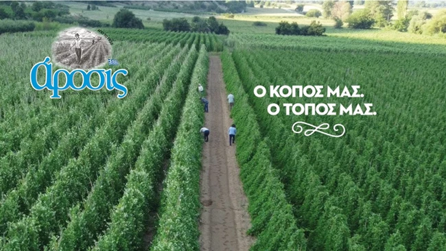 arosis