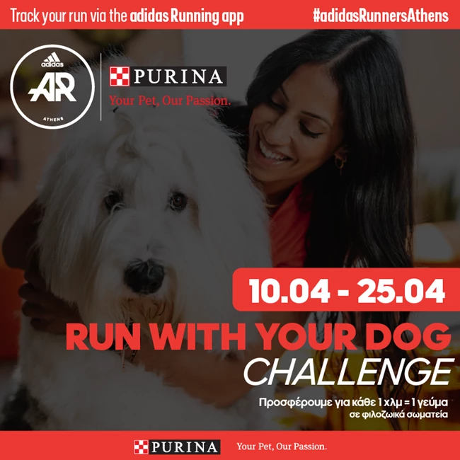 Run With Your Dog Challenge