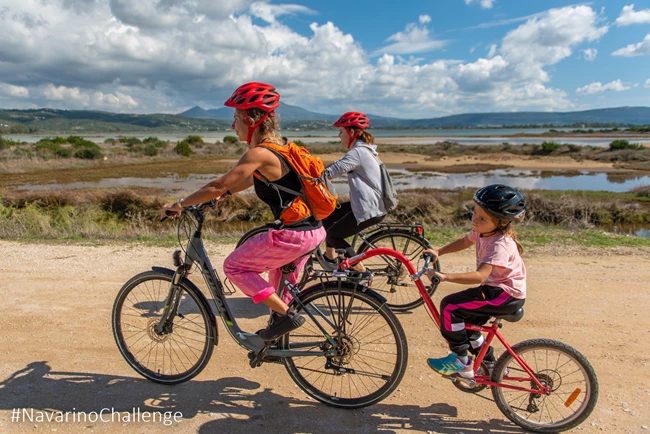 Navarino Challenge