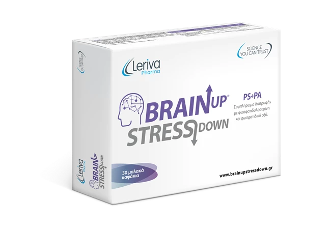 brain-up-3D