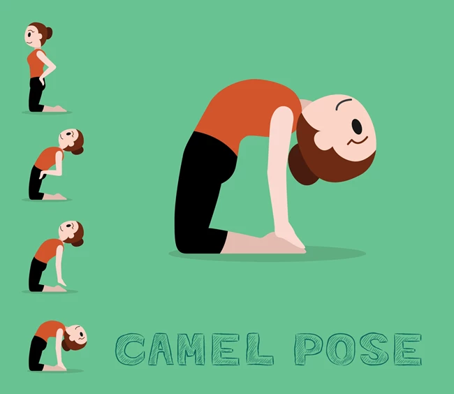 camel pose