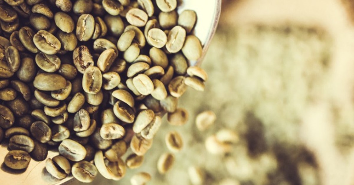 Πράσινος Καφές: Όσα πρέπει να γνωρίζετε! | ofarmakopoiosmou