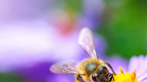 Πάλι κάηκες; Να τι πρέπει να κάνεις για να ανακουφιστείς - εικόνα 1