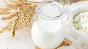 Τι είναι ένα μη υγιές έντερο και πώς η υγεία του μας επηρεάζει; - εικόνα 2