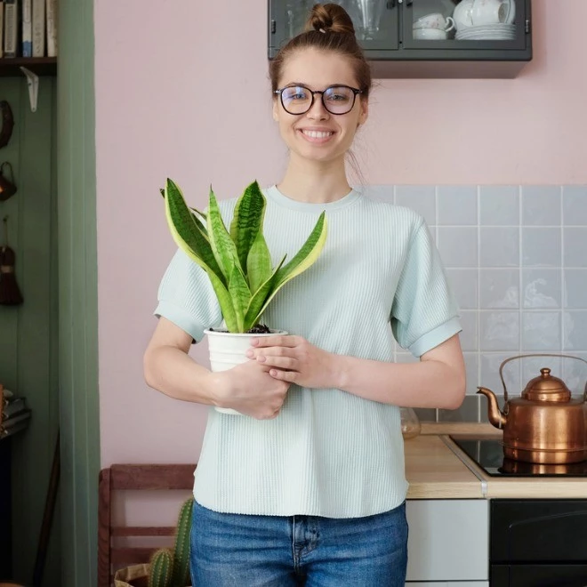 Τι συμβαίνει στο σώμα μας όταν φτερνιζόμαστε; - εικόνα 1
