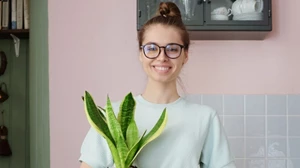 Back up Plant: Τα λάθη που δεν πρέπει να κάνουμε όταν φέρνουμε τα φυτά μας μέσα στο σπίτι για τον χειμώνα - εικόνα 2