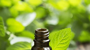 Έρευνα: Πώς το σαφράν μπορεί να βοηθήσει στη μείωση των συμπτωμάτων της περιεμμηνόπαυσης - εικόνα 1