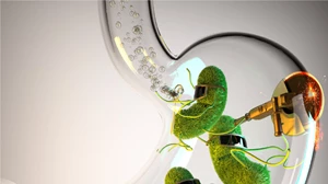 Υγιές έντερο σε πέντε απλά βήματα! Δοκίμασέ τα! - εικόνα 2