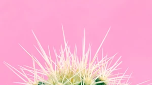 5 απρόσμενα συμπτώματα της εμμηνόπαυσης - εικόνα 1