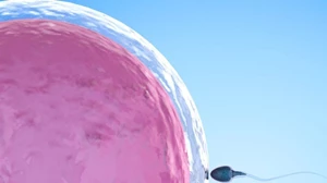 Αποβολή και παλίνδρομη κύηση: Οι διαφορές - εικόνα 1