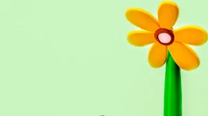 Άσθμα: Η πνευμονολόγος εξηγεί για την πάθηση και τη θεραπεία - εικόνα 1