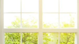 Αλλεργία στο σκύλο: Όσα θέλεις να ξέρεις - εικόνα 1