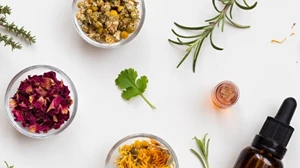 Τι είναι τα φυτικά φάρμακα; Η δράση και η ασφάλειά τους - εικόνα 2