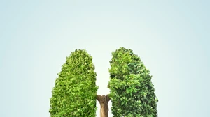 Καλή υγεία: Σήμερα γιορτάζουμε την υγεία μας με αυτές τις σημαντικές συμβουλές - εικόνα 9