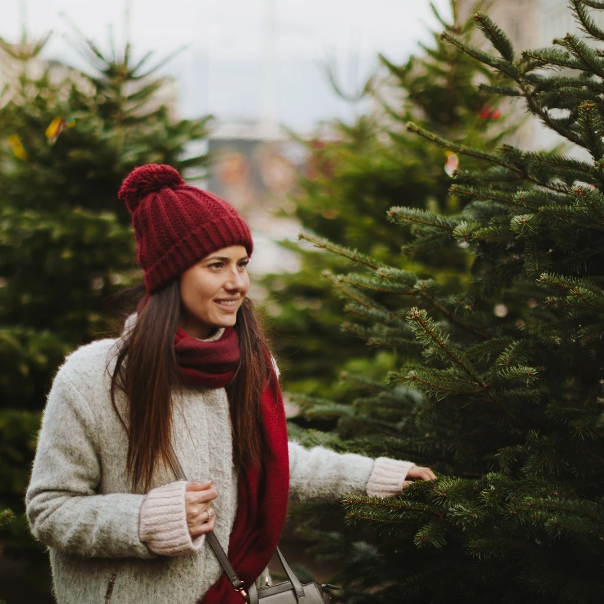 Χρόνια αποφρακτική πνευμονοπάθεια: Τα δεδομένα της νόσου - εικόνα 1