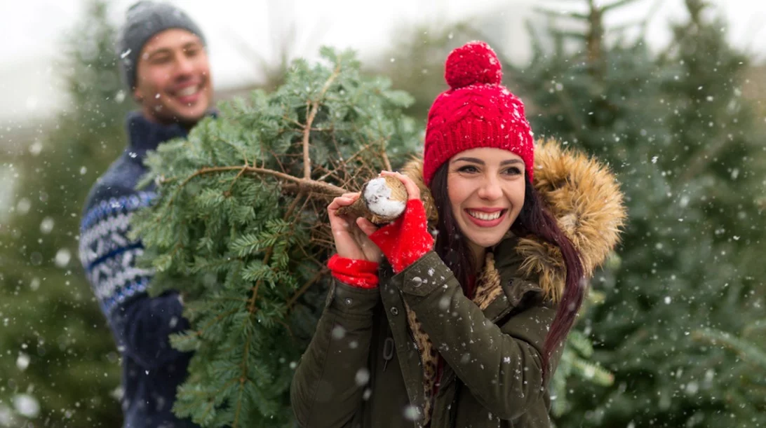 Έχεις χριστουγεννιάτικο δέντρο στο σπίτι; Είσαι πιο υγιής!