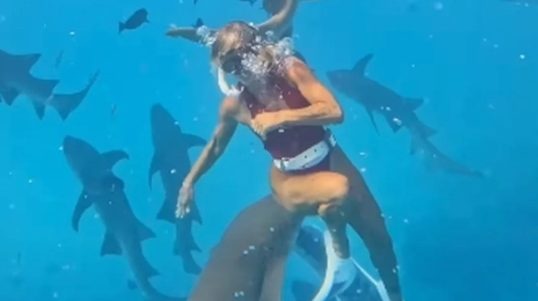Viral το βίντεο βραζιλιάνας influencer από τις Μαλδίβες που τη δάγκωσε καρχαρίας - Ξεπέρασε τις 18 εκατ. προβολές