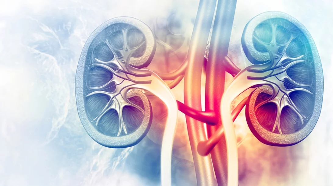 Εξέλιξη: Εγκρίθηκε νέα θεραπεία για τον πιο συχνό καρκίνο του νεφρού