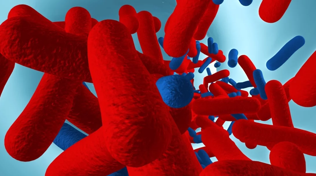 Μιτοχόνδια: Οι ιδιότητές τους με μια ματιά