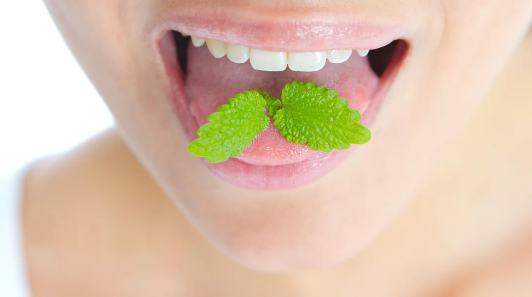 Καταπολέμησε ουλίτιδα και άφθες με αυτό το ελληνικό βότανο!