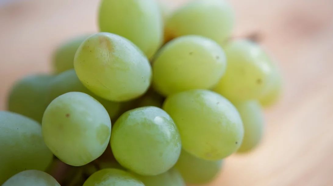 Το κόλπο για να μείνουν τα σταφύλια τραγανά και φρέσκα για μέρες – χωρίς να χαλάνε