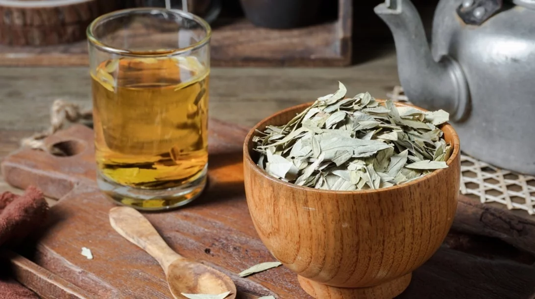 Φύλλα Αλεξανδρείας: Πόσο αποτελεσματικά είναι για τη δυσκοιλιότητα και την απώλεια βάρους;