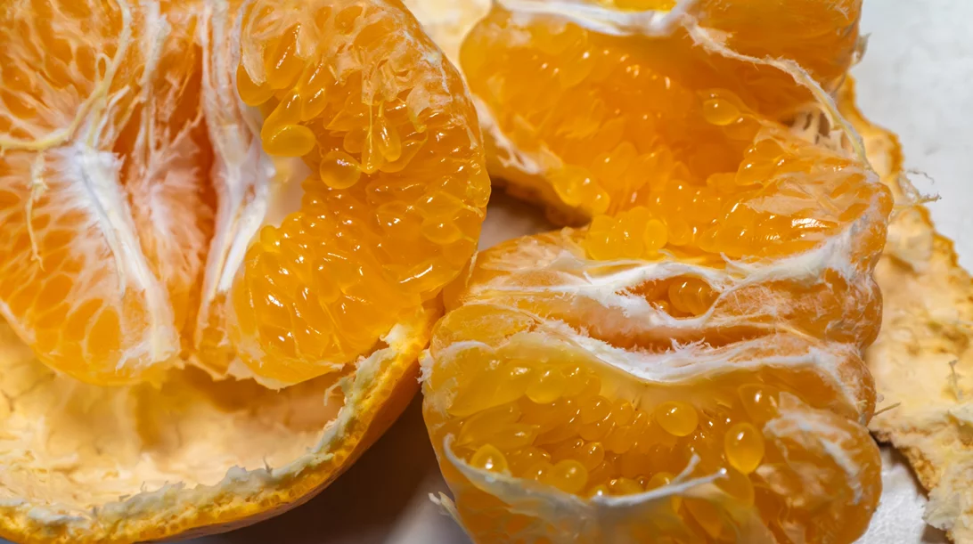 Πορτοκάλια, σκόρδο, εχινάτσια: Σε προστατεύουν από το κρυολόγημα και τη γρίπη;