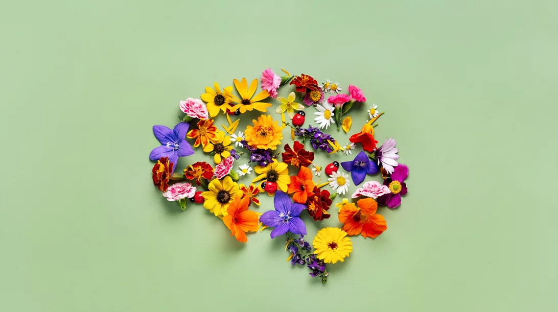 Πώς να κάνεις τον εγκέφαλό σου 10 χρόνια νεότερο