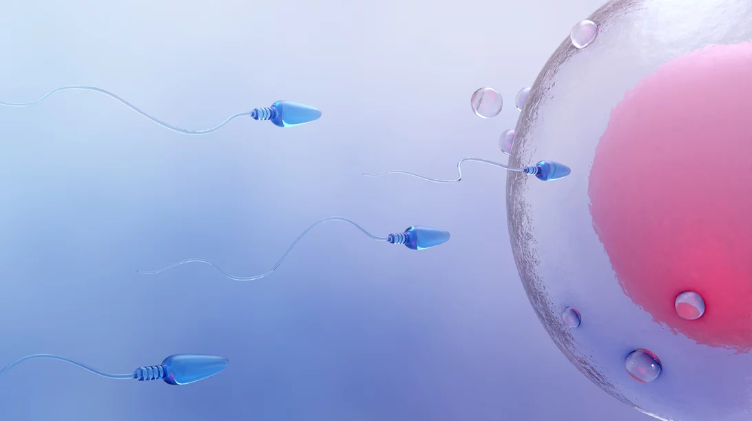 Κατάψυξη ωαρίων: Ποια είναι τα νέα επιστημονικά δεδομένα και τα οφέλη της;