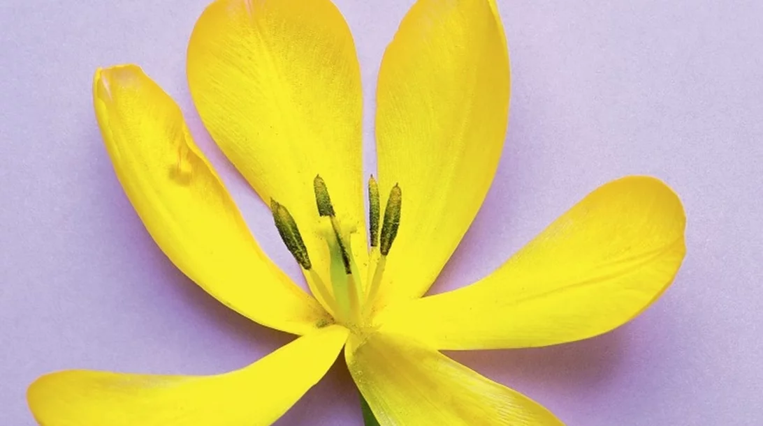 Τι προσφέρει το Τμήμα Κλιμακτηρίου και Εμμηνόπαυσης του Αρεταίειου Νοσοκομείου