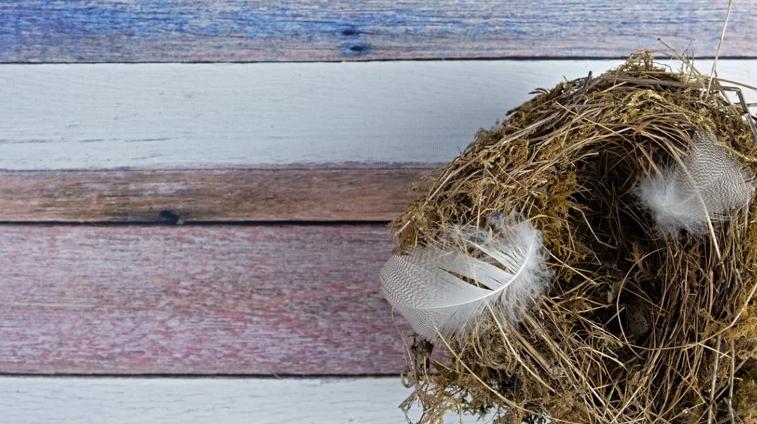 Σύνδρομο της άδειας φωλιάς: 10 tips για να νιώσεις καλύτερα