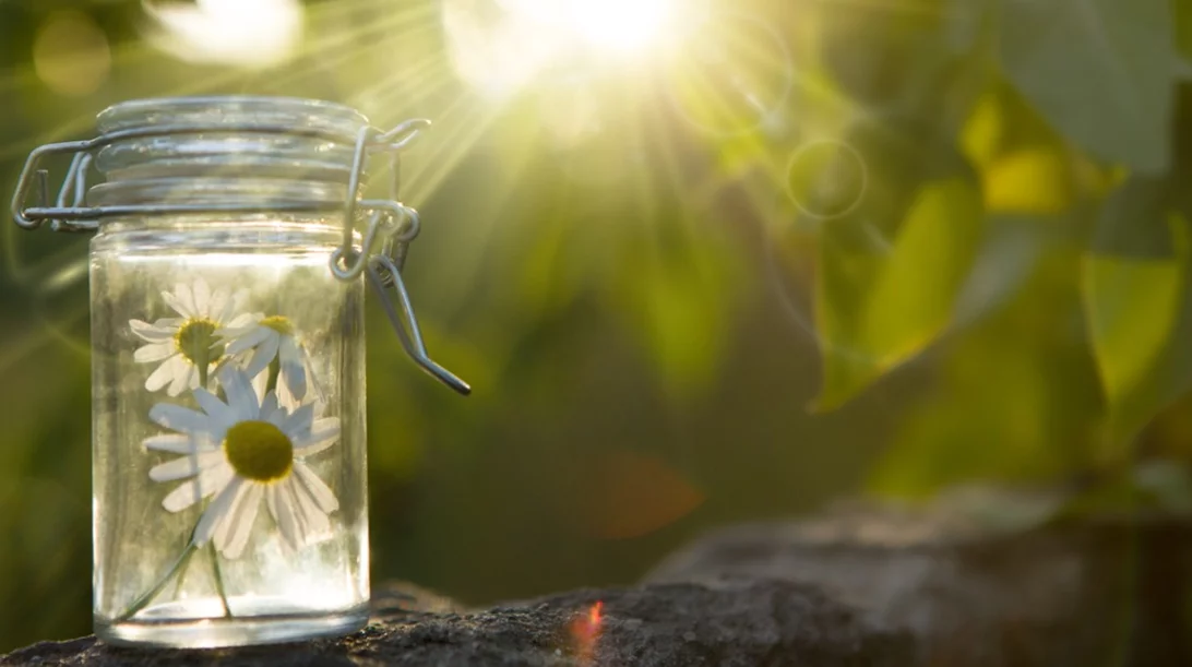 Ανθοϊάματα Bach: Μία εναλλακτική θεραπεία για θλίψη, άγχος, πόνο