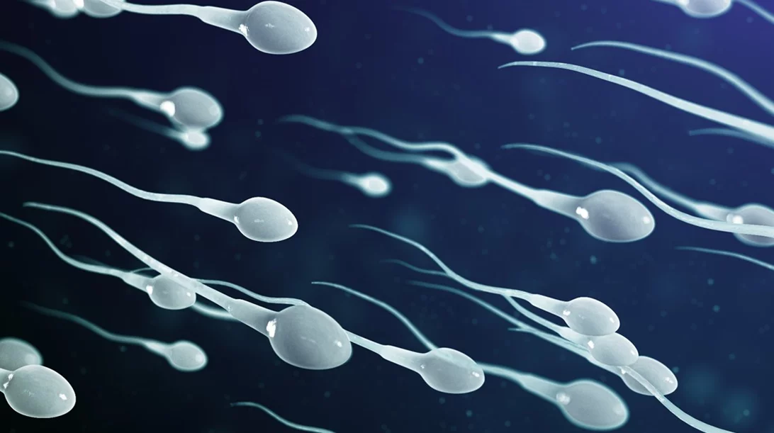 Υπογονιμότητα γένους… αρσενικού | Η νέα καμπάνια της Institute of life – ΙΑΣΩ με αφορμή τον Μήνα Γονιμότητας