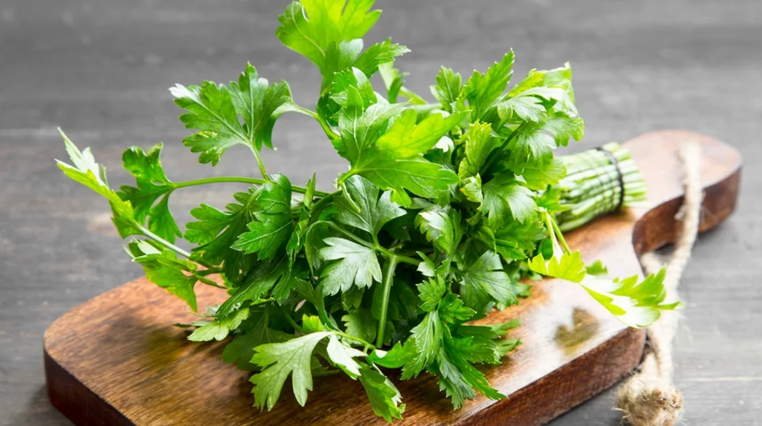 Πότε να ΜΗΝ τρώμε μαϊντανό: Οι "παρενέργειες" που πρέπει να γνωρίζουμε