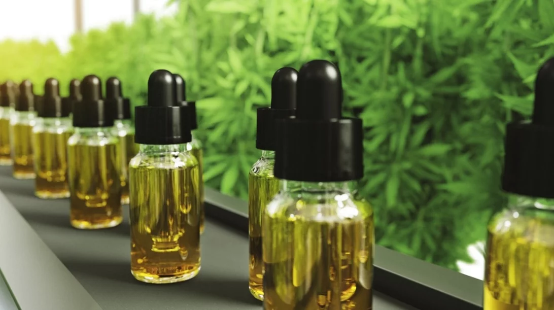 Έρευνα: Μπορεί να προστατεύει η κάνναβη από τον καρκίνο;