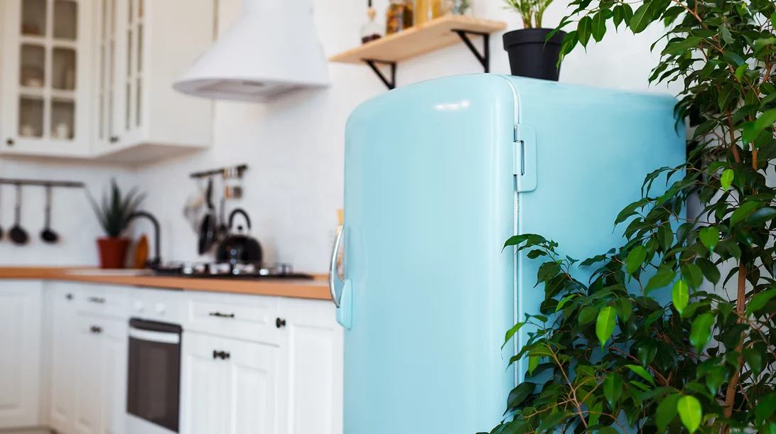 Διακοπή ρεύματος: Πόσες ώρες διατηρούνται τα τρόφιμα στο ψυγείο;