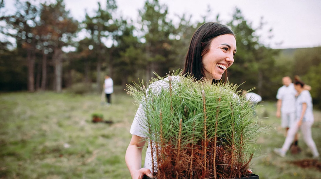 Go Green: Δενδροφύτευση 500 δέντρων στον Υμηττό