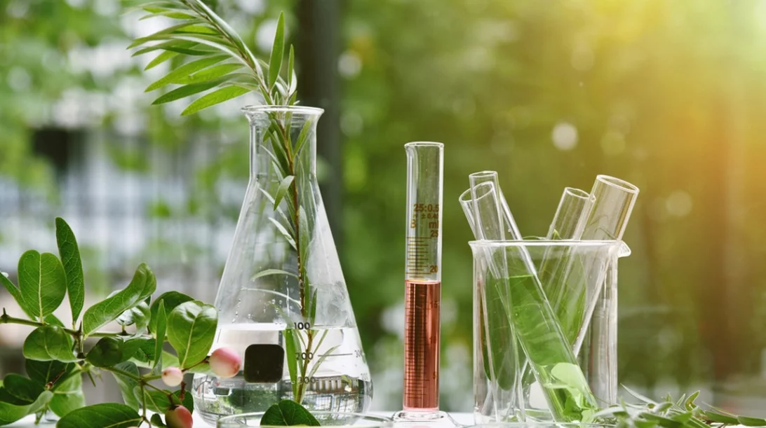 Εναλλακτικές θεραπείες: 8 βότανα που κάνουν καλό στην υγεία