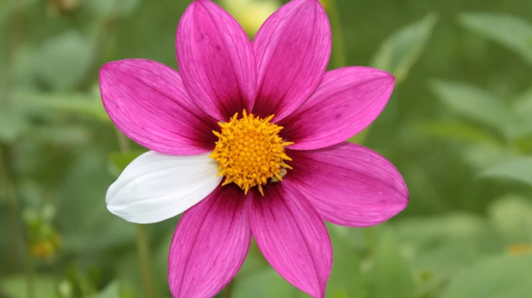 Sanofi: Ενίσχυση της καινοτομίας και της επένδυσης στην Ελλάδα για τα σπάνια νοσήματα